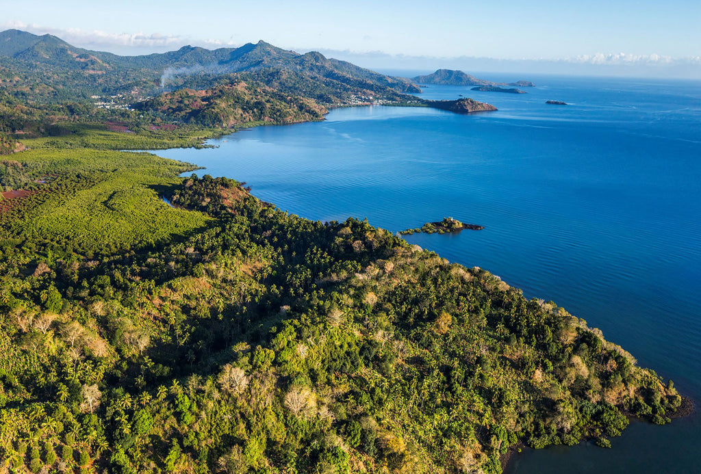 Vue panoramique de Mayotte, avec sa végétation luxuriante en premier plan et l'océan en arrière-plan